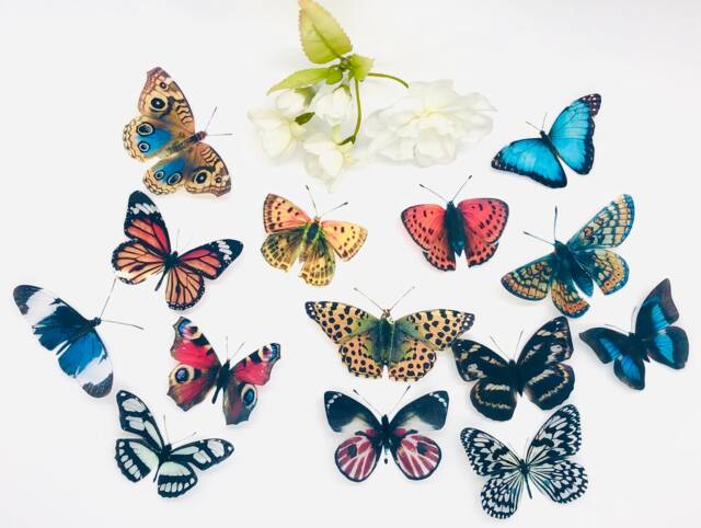 3D Butterfly Decorations - Set Of 14 Clear Plastic Wall Art Decals - image 1