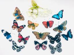 3D Butterfly Decorations - Set Of 14 Clear Plastic Wall Art Decals - thumbnail 1