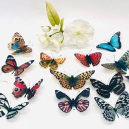 3D Butterfly Decorations - Set Of 14 Clear Plastic Wall Art Decals - thumbnail 3