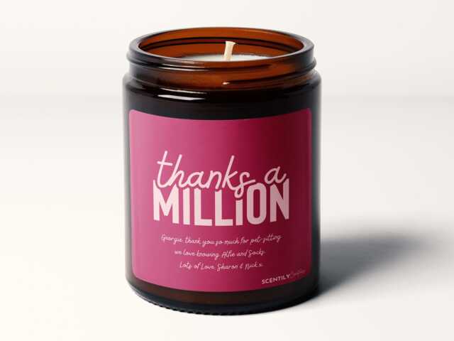 Thanks A Million Appreciation Gratitude Friendship Personalised Message Soy Wax Candle - image 1