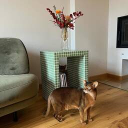 Tile Shelf, Handmade Cube, Designer Furniture, Coffee Table - thumbnail 2