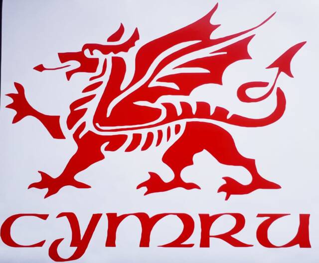 Welsh Dragon Decal Wales Sticker Vinyl Car Bonnet Side Wall Art Graphic Silhouette Van Lorry Motorhome Campervan Cymru - image 1