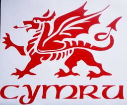 Welsh Dragon Decal Wales Sticker Vinyl Car Bonnet Side Wall Art Graphic Silhouette Van Lorry Motorhome Campervan Cymru - thumbnail 1