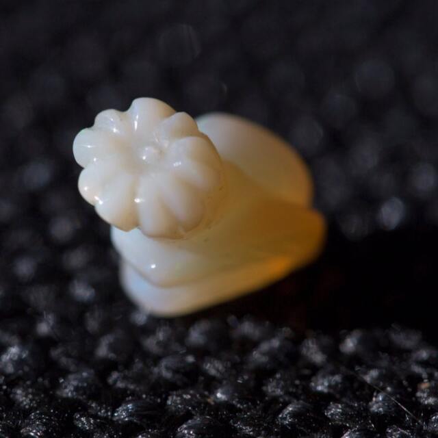 Blooming Flower Opal Carving -2.92 Cts - image 1