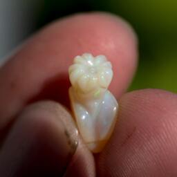 Blooming Flower Opal Carving -2.92 Cts - thumbnail 4