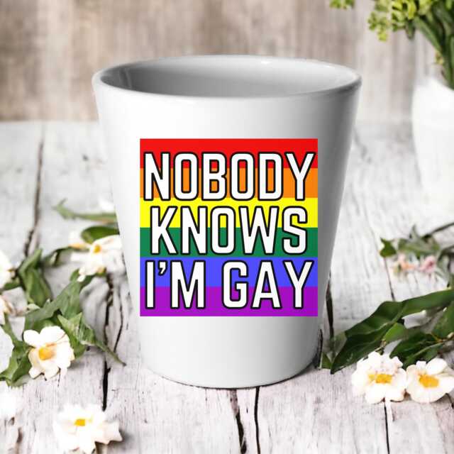 Nobody Knows I'm Gay Plant Pot/Succulent Cactus Flower Queer Lgbtq Pride Gift Birthday House Warming Present