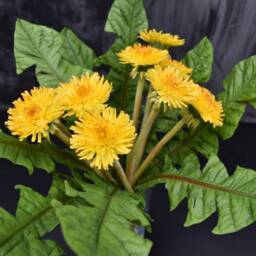 Handmade Polymer Clay Dandelion Bouquet Yellow Floral Arrangement - thumbnail 2