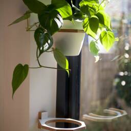 Indoor Planters. Large Wall Mounted Plant Shelf - thumbnail 2