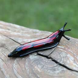 Spotted Slug Glass Sculpture Glass Slug Lampwork Glass Animals Handcrafted Snail - thumbnail 3