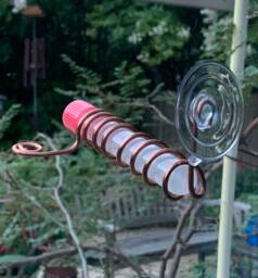 Test Tube Window Hummingbird Feeder