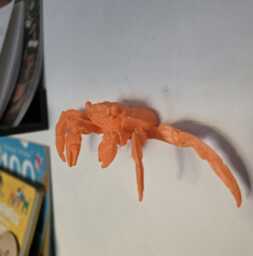 Sally Lightfoot Crab Wall Art - Home Decor Art 3D Printed - thumbnail 1