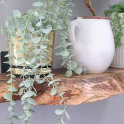 "Custom Size 47""-78""- Rustic Handmade Wooden Floating Shelves - Chunky Live Edge Mango Wood Shelf Depth 6""/9" - thumbnail 2