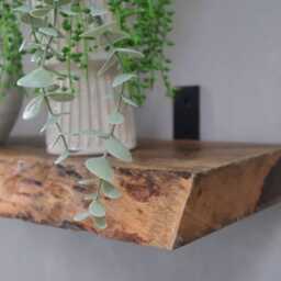 "Custom Size 47""-78""- Rustic Handmade Wooden Floating Shelves - Chunky Live Edge Mango Wood Shelf Depth 6""/9" - thumbnail 3