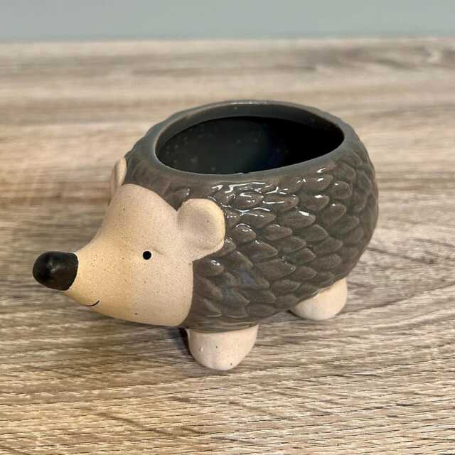 Ceramic Small Hedgehog Plant Succulent Pot Indoor Cosy Home D??cor Wildlife Ornament Planter - image 1