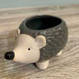 Ceramic Small Hedgehog Plant Succulent Pot Indoor Cosy Home D??cor Wildlife Ornament Planter - thumbnail 3