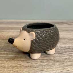 Ceramic Small Hedgehog Plant Succulent Pot Indoor Cosy Home D??cor Wildlife Ornament Planter - thumbnail 2