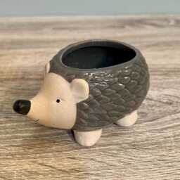 Ceramic Small Hedgehog Plant Succulent Pot Indoor Cosy Home D??cor Wildlife Ornament Planter - thumbnail 1