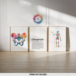 Chiropractic Poster Set - 3 Watercolour Printss - Chiropractor Office Decor Anatomy Wall Art Chiro Clinic Artwork Medical Room Print - thumbnail 2