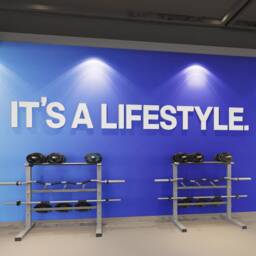 Gym Decor, Quotes, Gym, Famous Wall Art, 3D, Fitness, Signs, Inspirational, Gift, Inspirational Quotes - Skuials