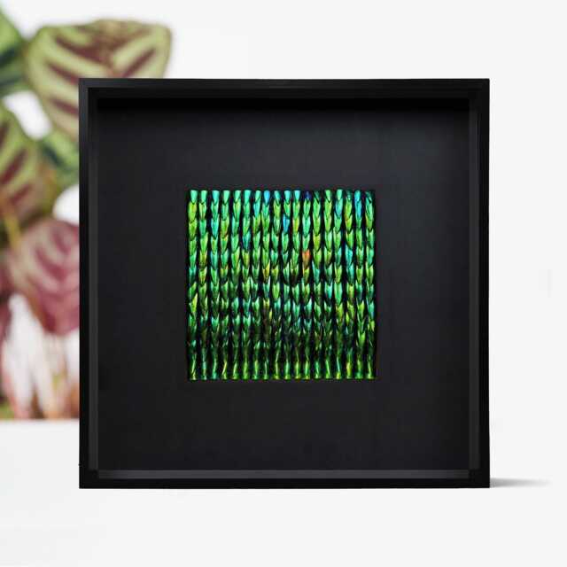 Jewel Beetle Wing Mosaic Natural Insect Art, Modern Home Decor - image 1
