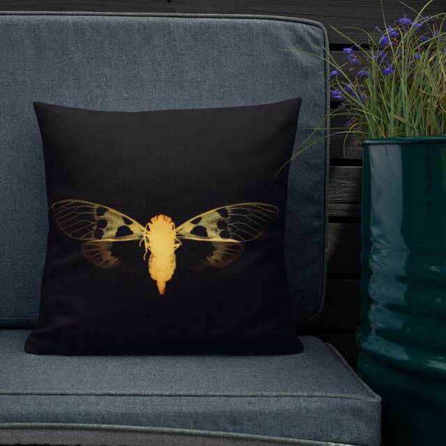 Throw Pillow, Cicada Art Print, Birthday, Housewarming, Gothic Home Decor, Insect Specimen, Dark Academia, Horror Vibe, Taxidermy Cushion - image 1