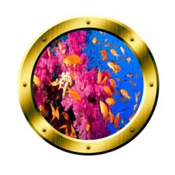 School Of Fish Porthole Wall Art Coral Reef Ocean View Vinyl Decal - Vwaq Gp2 - thumbnail 2