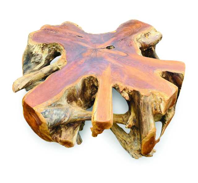 Large Round Spider Teak Root Coffee Table 100cm - image 1
