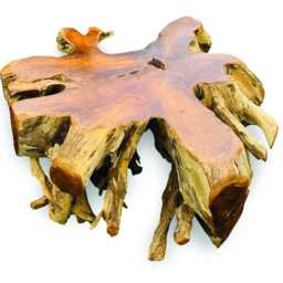 Large Round Spider Teak Root Coffee Table 100cm - thumbnail 4