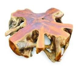 Large Round Spider Teak Root Coffee Table 100cm