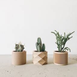Set Of 3 Uniq Indoor Wooden Pots - Original Gift For Plant Lover - thumbnail 2