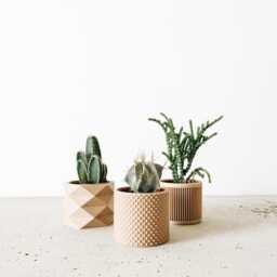 Set Of 3 Uniq Indoor Wooden Pots - Original Gift For Plant Lover - thumbnail 4