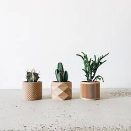 Set Of 3 Uniq Indoor Wooden Pots - Original Gift For Plant Lover - thumbnail 1
