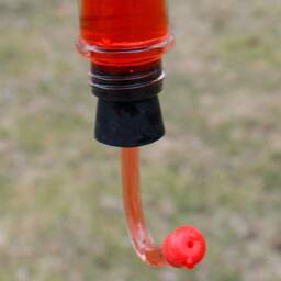 Diy Feeder Tube With Red Cap & Stopper - thumbnail 2