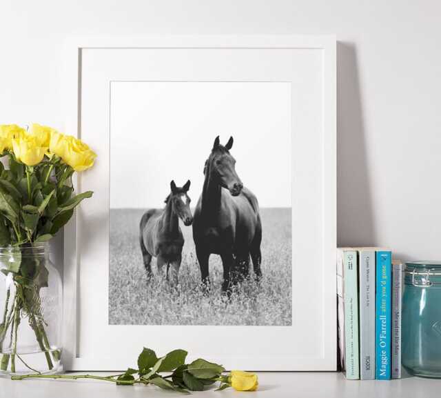 Black & White Horse Print - Equestrian Farmhouse Wall Art, Printed Or Framed - image 1