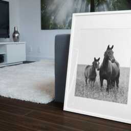 Black & White Horse Print - Equestrian Farmhouse Wall Art, Printed Or Framed - thumbnail 2