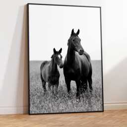 Black & White Horse Print - Equestrian Farmhouse Wall Art, Printed Or Framed - thumbnail 3