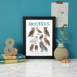 Hooters Luxury Art Print - Funny Pun Owl Watercolour Wall - thumbnail 1