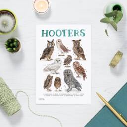 Hooters Luxury Art Print - Funny Pun Owl Watercolour Wall - thumbnail 3