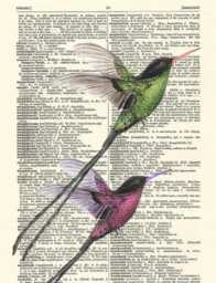 Birds Print Romantic Humingbird Art, Printed On Vintage Dictionary Pages - thumbnail 2