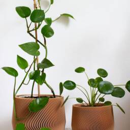 Set Of 2 Large Wood-Printed Planters Ribbed Indoor Plant Pots Mayla - thumbnail 2