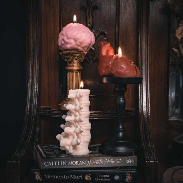 Anatomy Candles Gift Box - Gothic Vegan By The Blackened Teeth Gifts - image 1