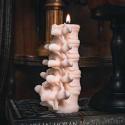 Anatomy Candles Gift Box - Gothic Vegan By The Blackened Teeth Gifts - thumbnail 3