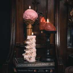 Anatomy Candles Gift Box - Gothic Vegan By The Blackened Teeth Gifts - thumbnail 1