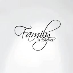 "Family Is Forever Vinyl Wall Decal Art Saying Home Decor Sticker #1225 - 20"" Wide X 13" - thumbnail 1
