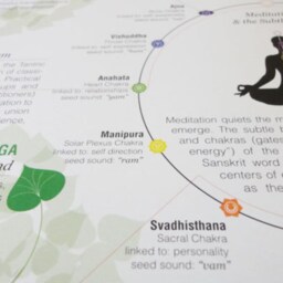 The Yoga Poster - Poses & History A Visual Guide To The Practice Of - thumbnail 3