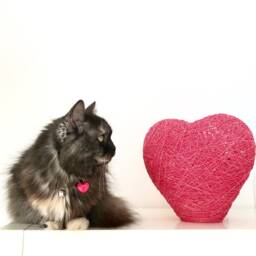 Nursery Lighting, Heart Floor Lamp, Modern Table Table Lamp - Heart - thumbnail 3