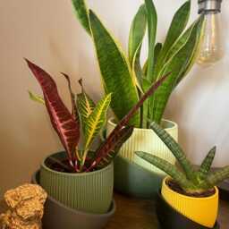Ribbed Indoor Planter Modern Minimalist Plant Pot With Drainage Tray - thumbnail 4
