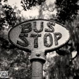 Black & White Throw Pillow, Vintage Bus Stop Sign, Savannah Georgia Historic District, Fine Art Photography - thumbnail 2