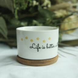 Sunflower Dog Ceramic Succulent Pot, Small Planter - thumbnail 3