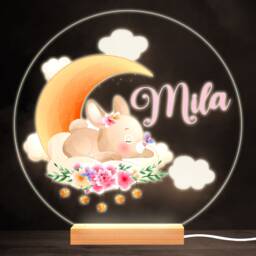 Cute Sleeping Rabbit Colourful Round Personalised Gift Led Lamp Night Light - Bedroom